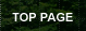 TOP PAGE