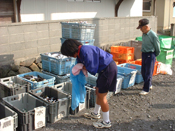活動を通して地域の方と交流を深めている